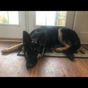 Meet your Posher, Liz